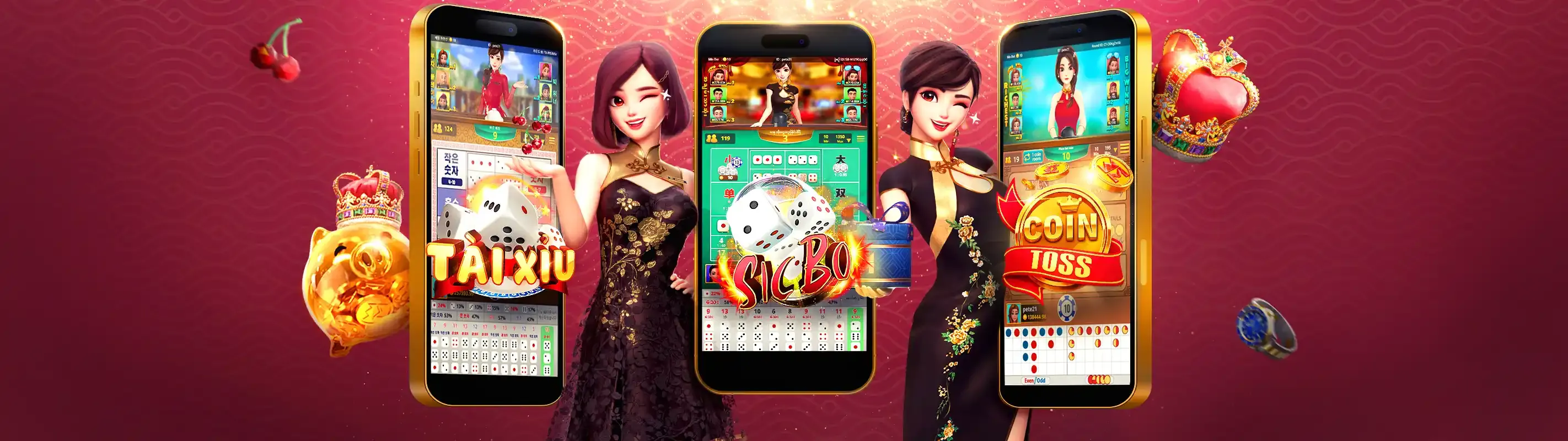 Đấu trường gà đá với hai con gà đang giao tranh